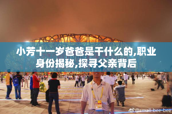 小芳十一岁爸爸是干什么的,职业身份揭秘,探寻父亲背后