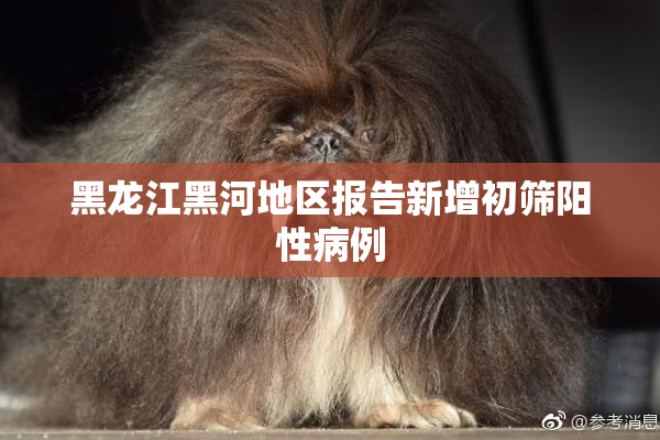 黑龙江黑河地区报告新增初筛阳性病例