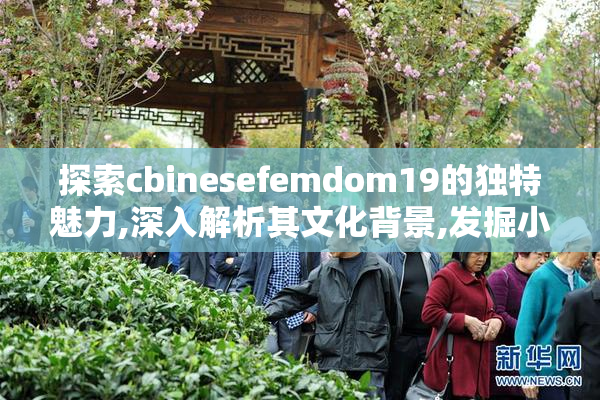 探索cbinesefemdom19的独特魅力,深入解析其文化背景,发掘小众圈层