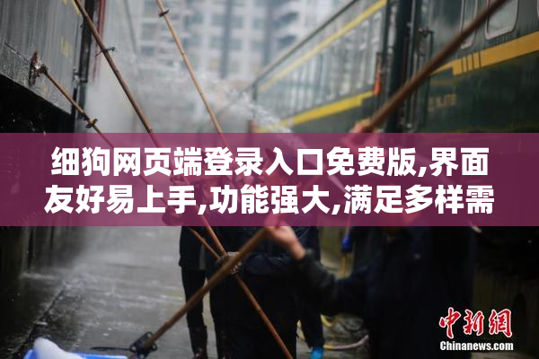 细狗网页端登录入口免费版,界面友好易上手,功能强大,满足多样需求
