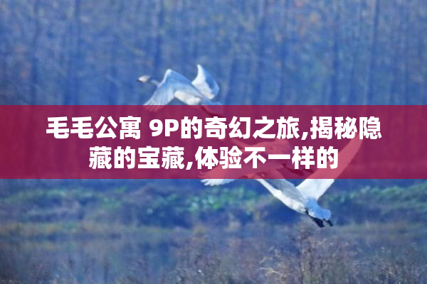 毛毛公寓 9P的奇幻之旅,揭秘隐藏的宝藏,体验不一样的