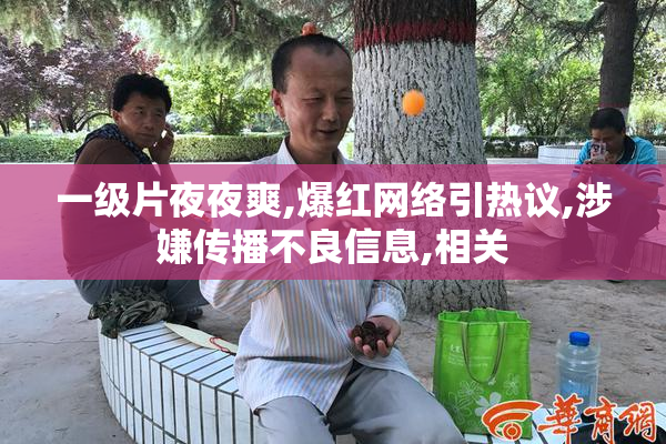 一级片夜夜爽,爆红网络引热议,涉嫌传播不良信息,相关