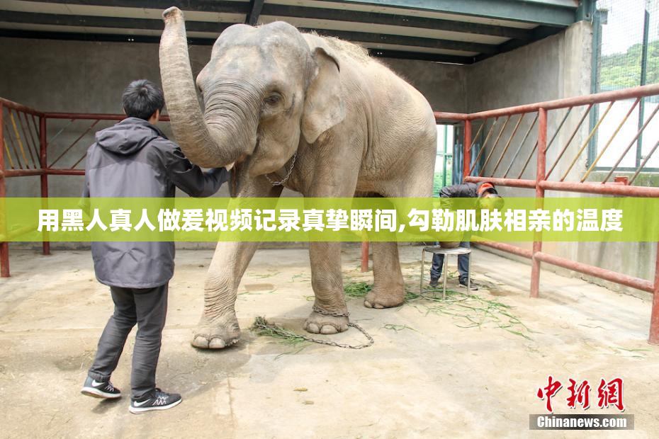 用黑人真人做爰视频记录真挚瞬间,勾勒肌肤相亲的温度
