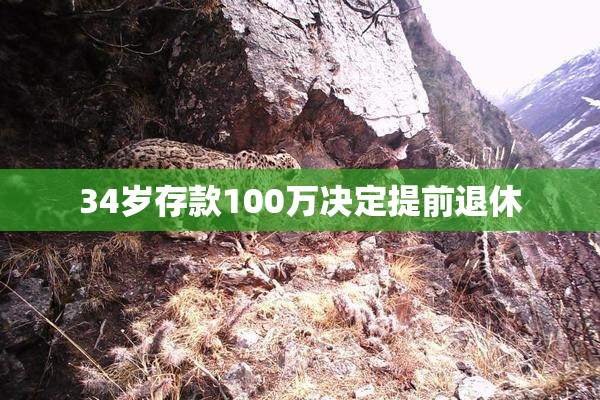 34岁存款100万决定提前退休