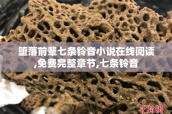 堕落前辈七条铃音小说在线阅读,免费完整章节,七条铃音