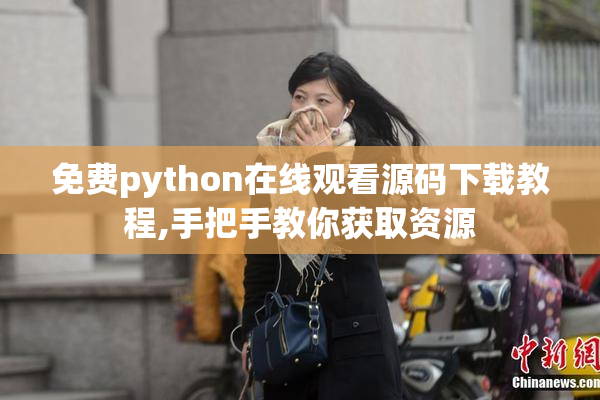 免费python在线观看源码下载教程,手把手教你获取资源