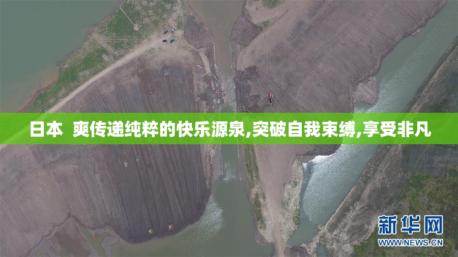 日本  爽传递纯粹的快乐源泉,突破自我束缚,享受非凡