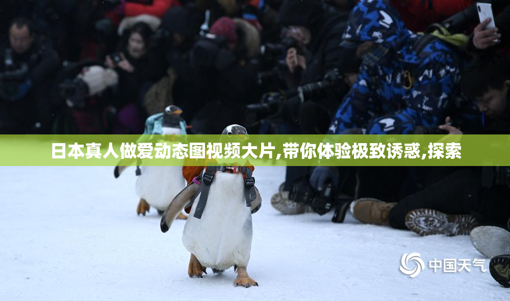 日本真人做爱动态图视频大片,带你体验极致诱惑,探索