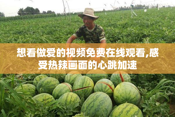 想看做爱的视频免费在线观看,感受热辣画面的心跳加速