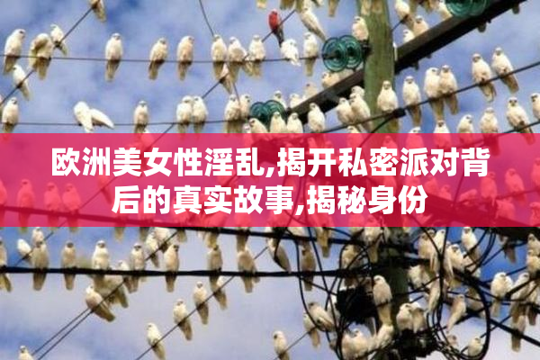 欧洲美女性淫乱,揭开私密派对背后的真实故事,揭秘身份