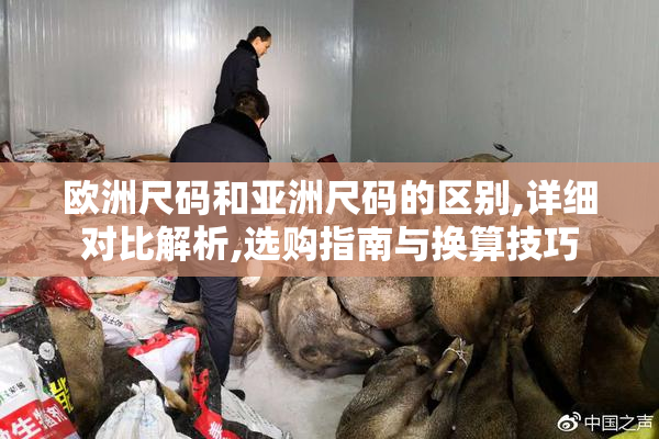 欧洲尺码和亚洲尺码的区别,详细对比解析,选购指南与换算技巧