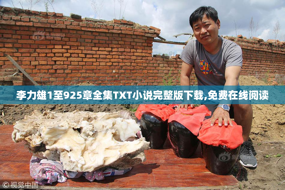 李力雄1至925章全集TXT小说完整版下载,免费在线阅读