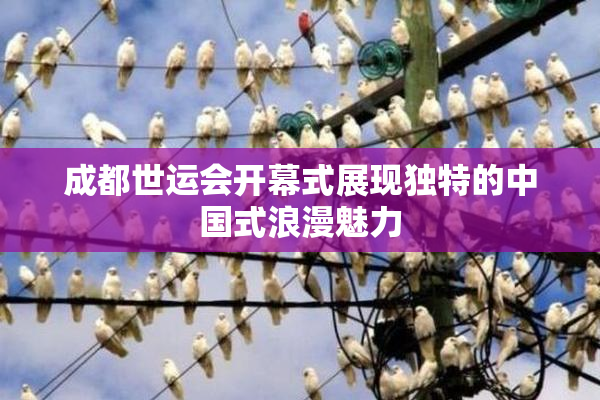 成都世运会开幕式展现独特的中国式浪漫魅力