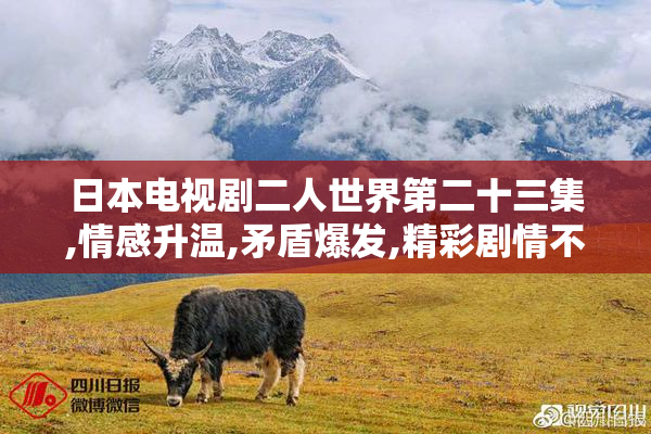 日本电视剧二人世界第二十三集,情感升温,矛盾爆发,精彩剧情不容