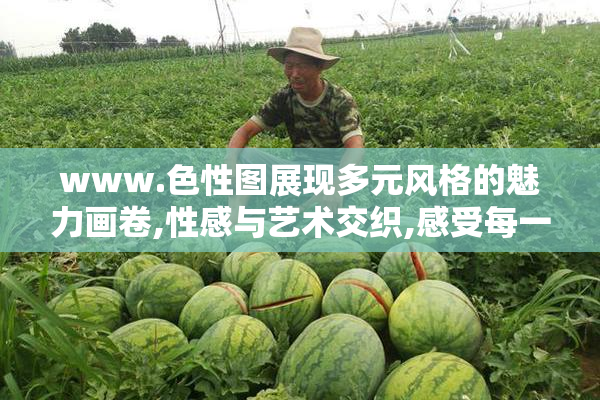 www.色性图展现多元风格的魅力画卷,性感与艺术交织,感受每一帧的