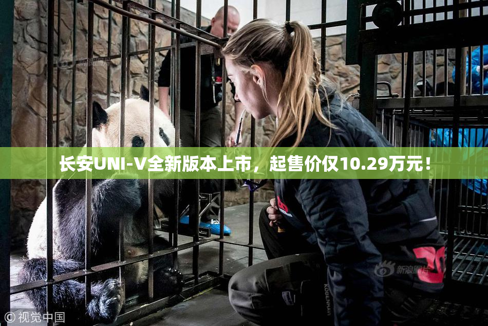 长安UNI-V全新版本上市，起售价仅10.29万元！