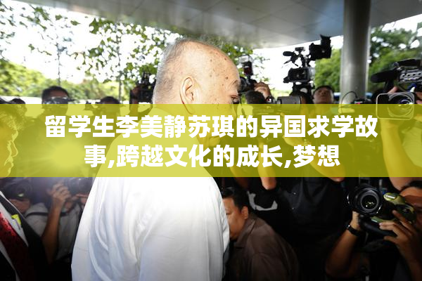 留学生李美静苏琪的异国求学故事,跨越文化的成长,梦想