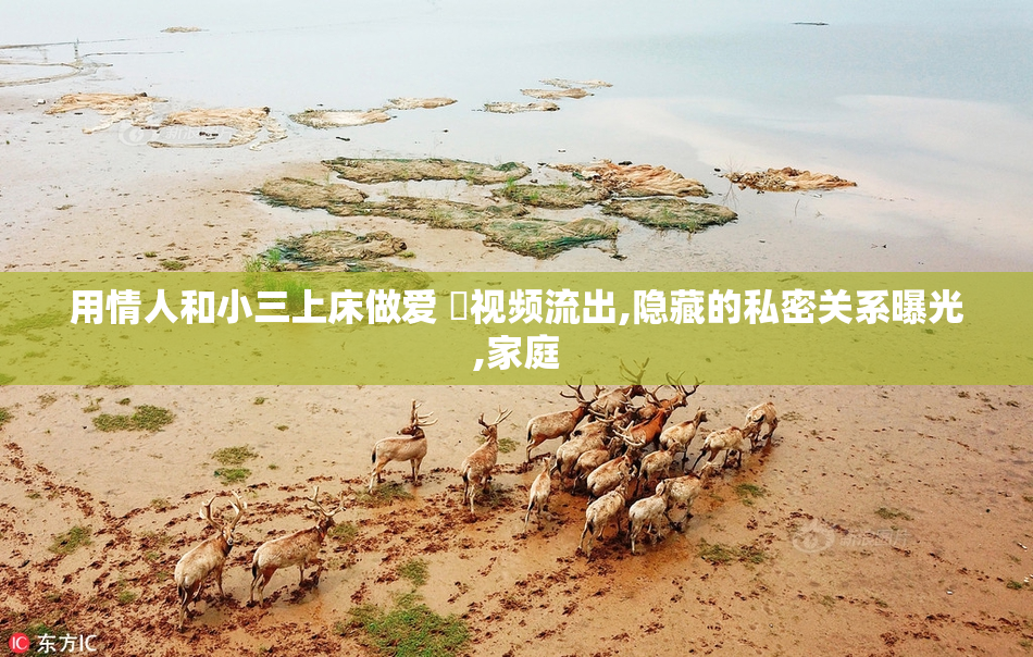 用情人和小三上床做爱 ️视频流出,隐藏的私密关系曝光,家庭