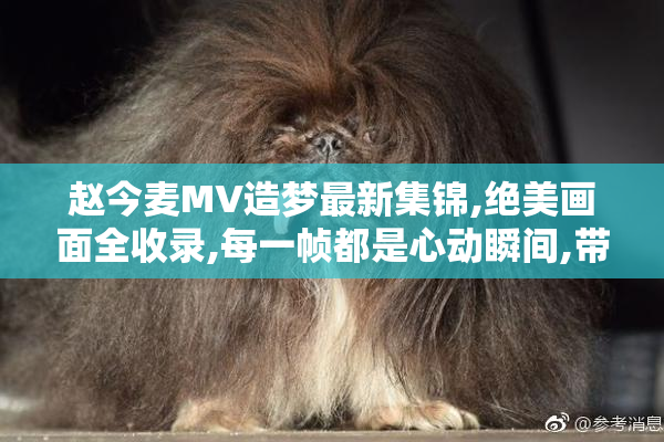 赵今麦MV造梦最新集锦,绝美画面全收录,每一帧都是心动瞬间,带你