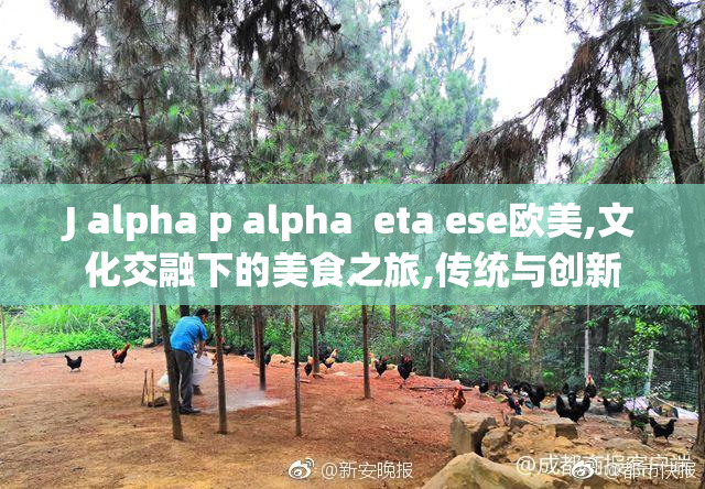 J alpha p alpha  eta ese欧美,文化交融下的美食之旅,传统与创新