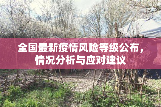 全国最新疫情风险等级公布，情况分析与应对建议
