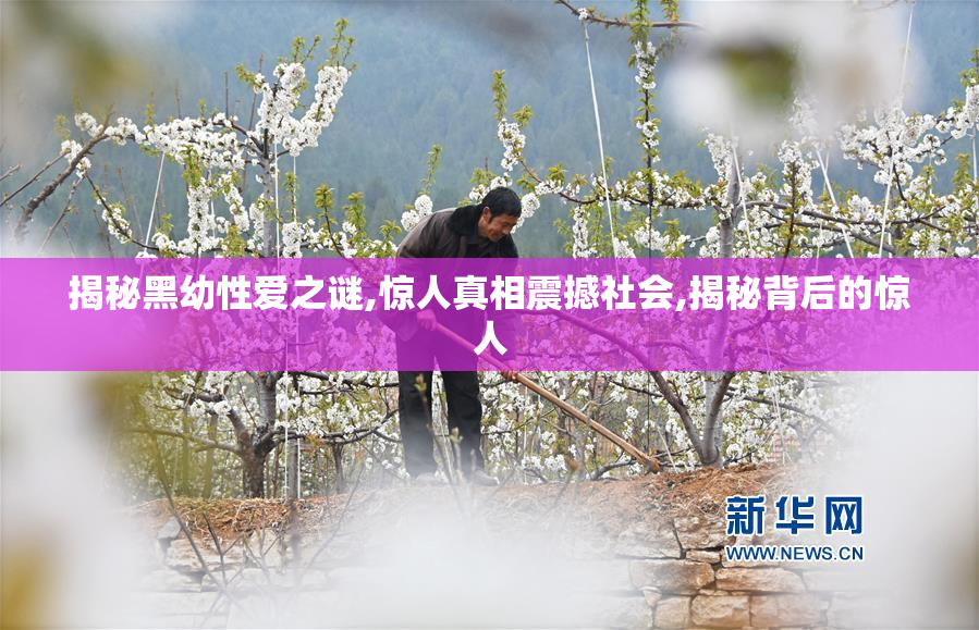 揭秘黑幼性爱之谜,惊人真相震撼社会,揭秘背后的惊人