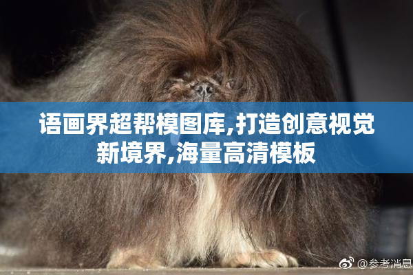 语画界超帮模图库,打造创意视觉新境界,海量高清模板