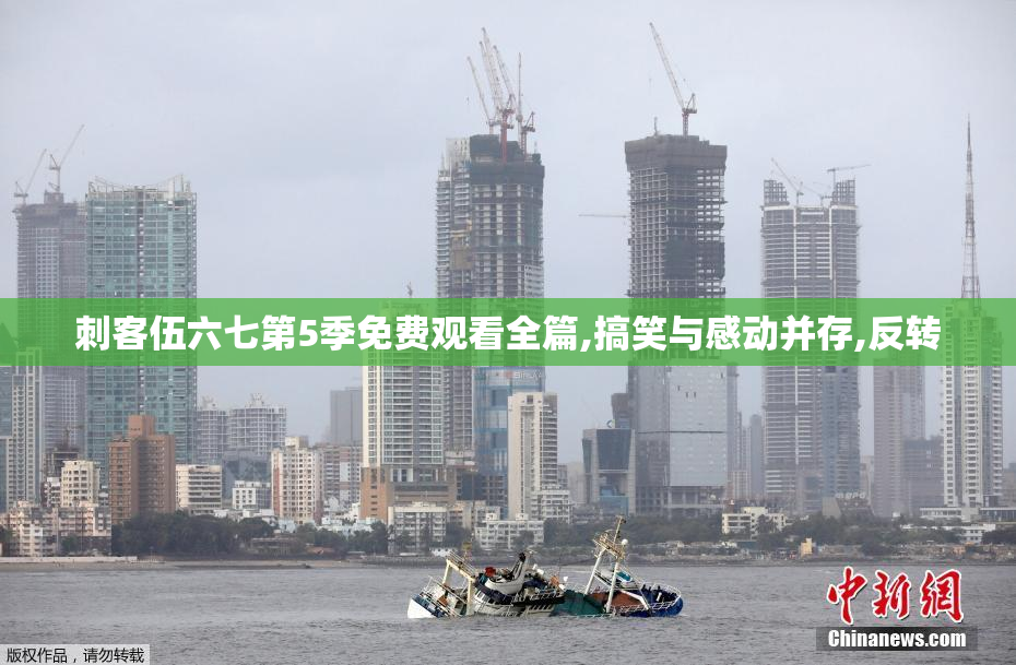 刺客伍六七第5季免费观看全篇,搞笑与感动并存,反转