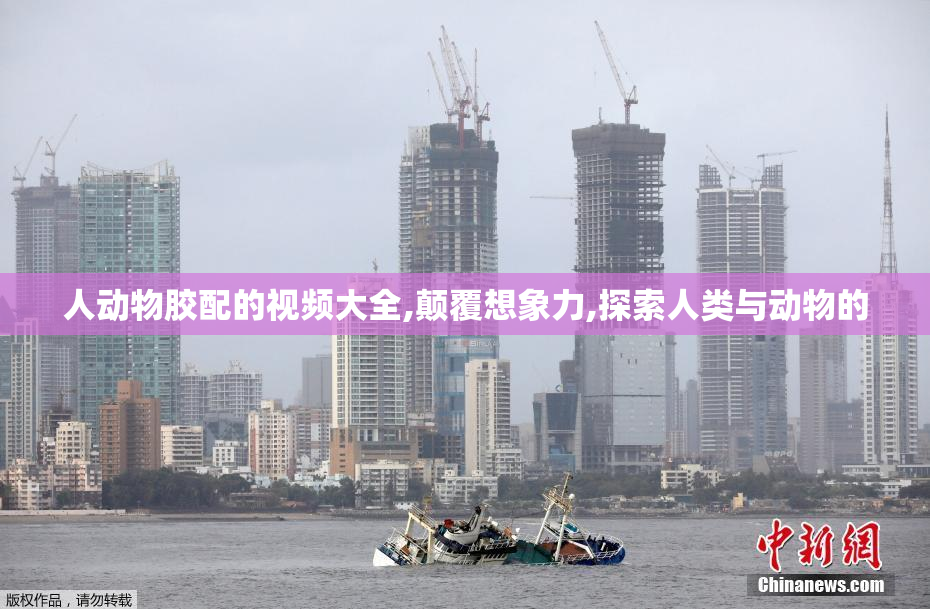 人动物胶配的视频大全,颠覆想象力,探索人类与动物的