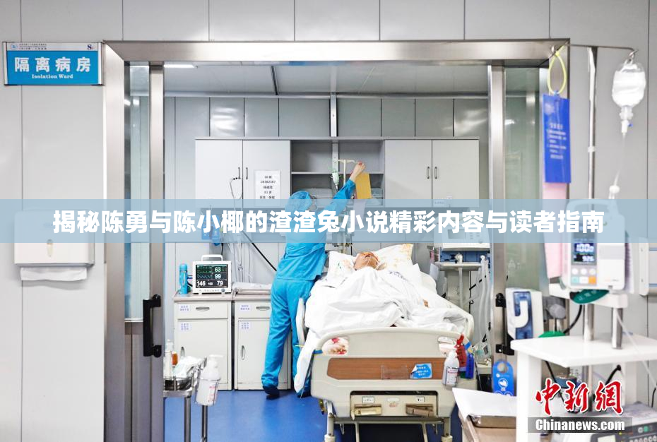 揭秘陈勇与陈小椰的渣渣兔小说精彩内容与读者指南