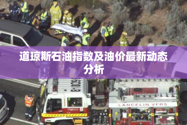 道琼斯石油指数及油价最新动态分析