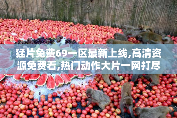 猛片免费69一区最新上线,高清资源免费看,热门动作大片一网打尽