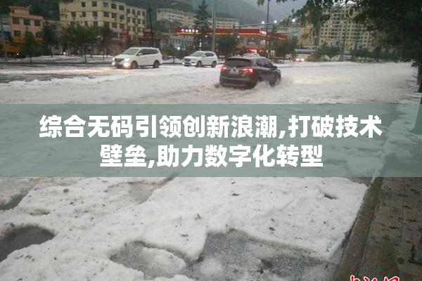 综合无码引领创新浪潮,打破技术壁垒,助力数字化转型
