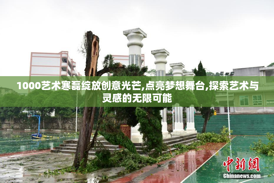 1000艺术寒磊绽放创意光芒,点亮梦想舞台,探索艺术与灵感的无限可能