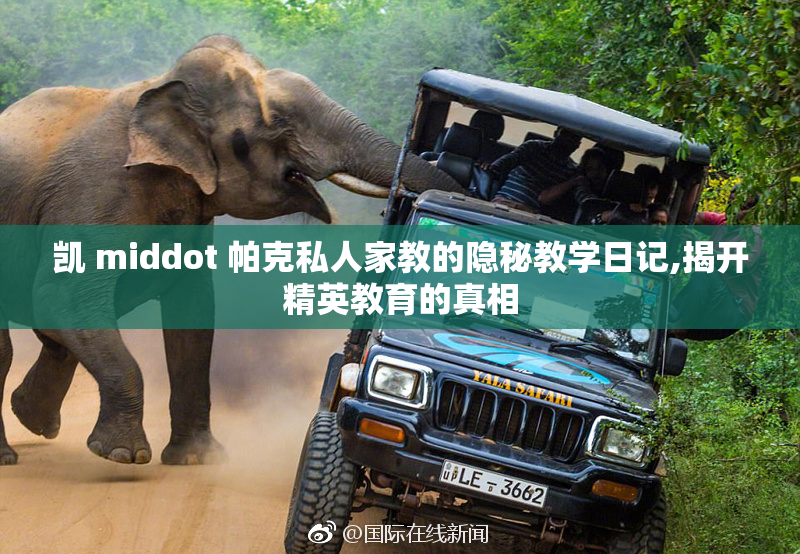 凯 middot 帕克私人家教的隐秘教学日记,揭开精英教育的真相