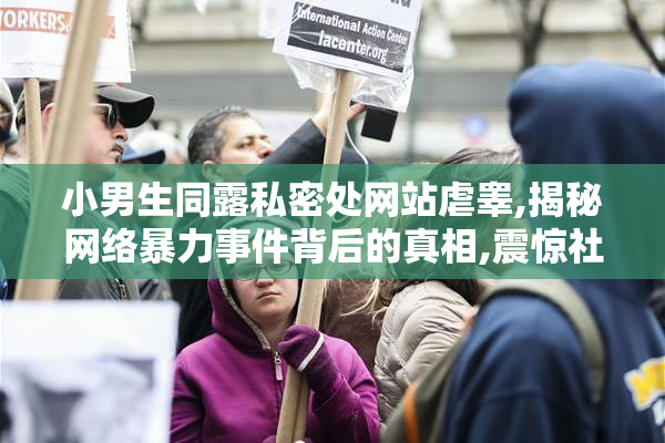 小男生同露私密处网站虐睾,揭秘网络暴力事件背后的真相,震惊社会