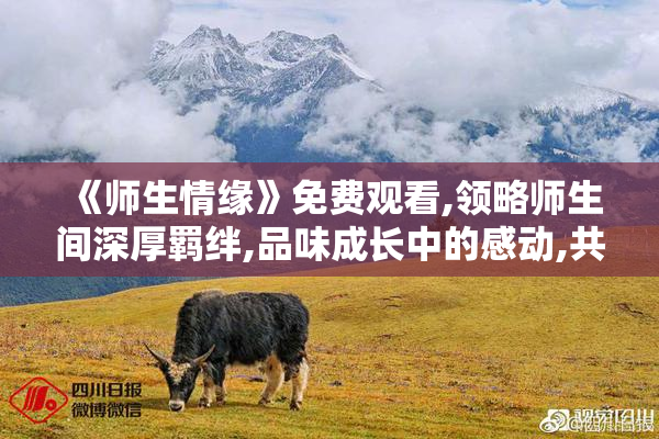 《师生情缘》免费观看,领略师生间深厚羁绊,品味成长中的感动,共享