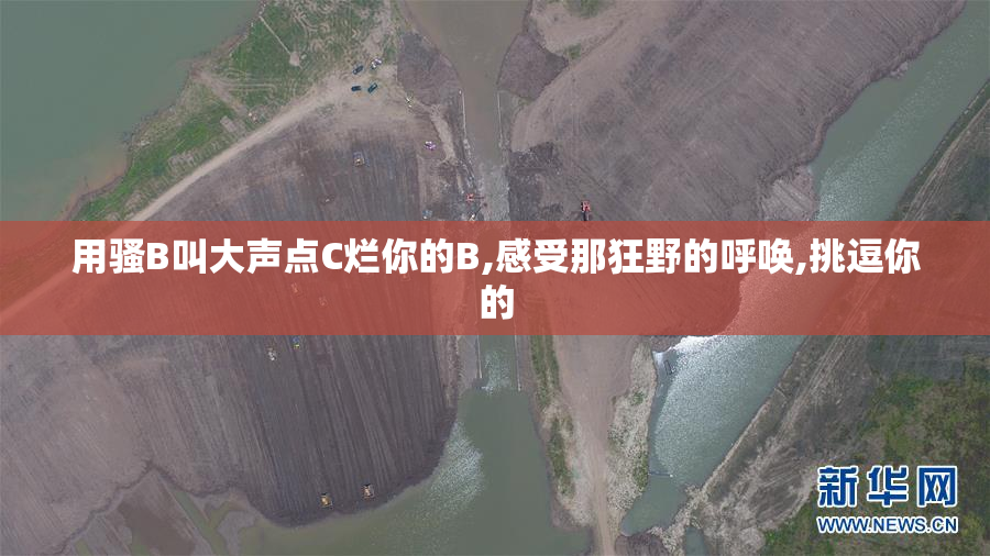 用骚B叫大声点C烂你的B,感受那狂野的呼唤,挑逗你的