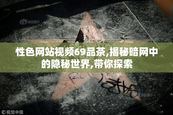 性色网站视频69品茶,揭秘暗网中的隐秘世界,带你探索