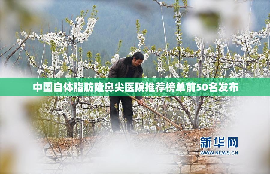 中国自体脂肪隆鼻尖医院推荐榜单前50名发布
