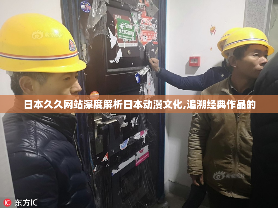 日本久久网站深度解析日本动漫文化,追溯经典作品的
