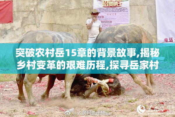 突破农村岳15章的背景故事,揭秘乡村变革的艰难历程,探寻岳家村的