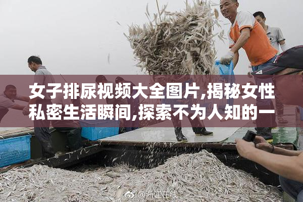 女子排尿视频大全图片,揭秘女性私密生活瞬间,探索不为人知的一面