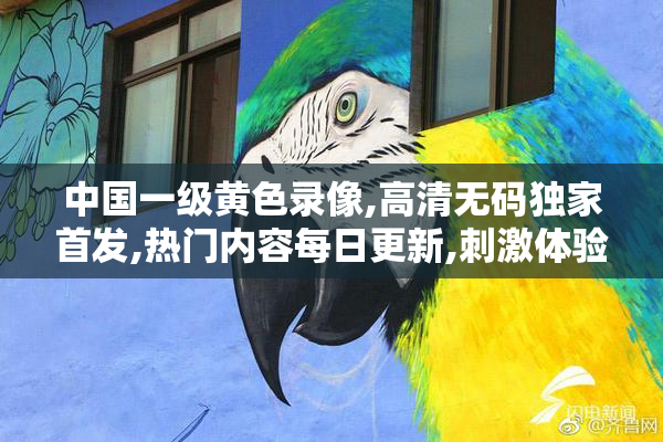 中国一级黄色录像,高清无码独家首发,热门内容每日更新,刺激体验不
