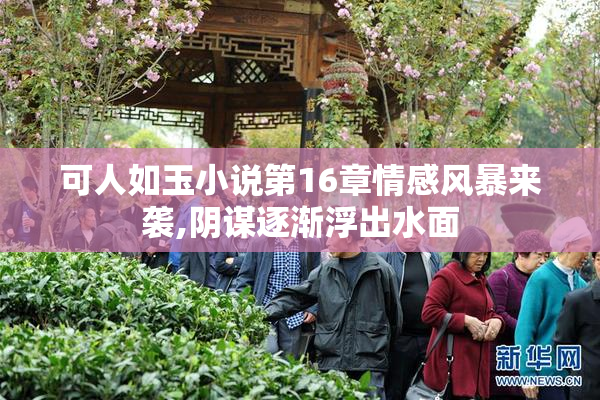 可人如玉小说第16章情感风暴来袭,阴谋逐渐浮出水面