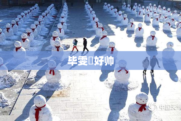 毕雯珺好帅