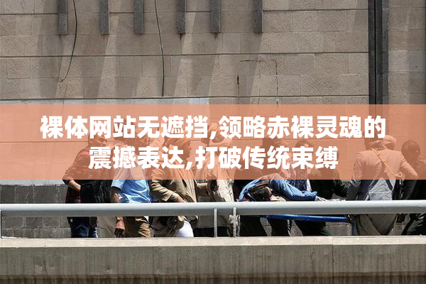裸体网站无遮挡,领略赤裸灵魂的震撼表达,打破传统束缚