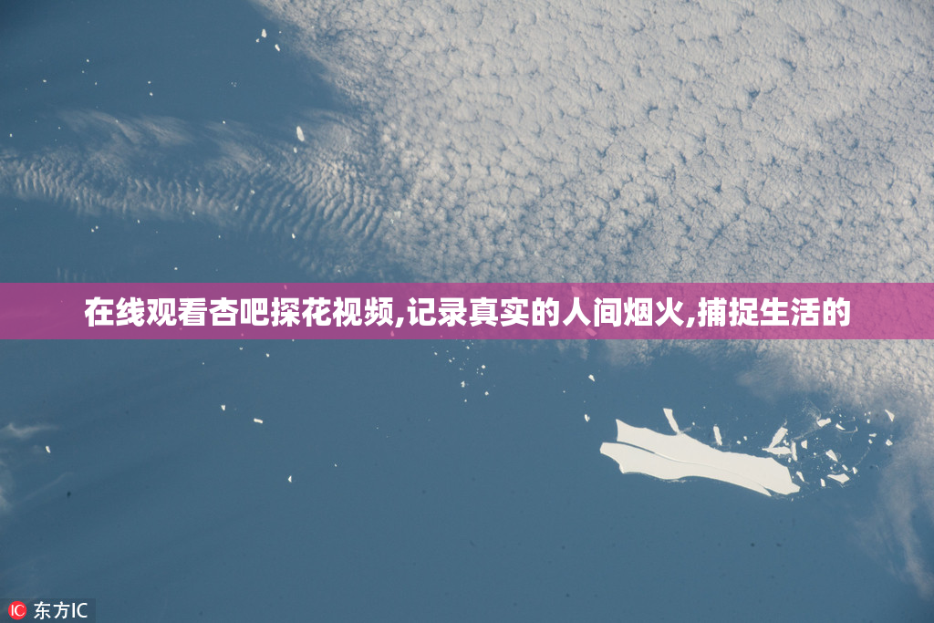 在线观看杏吧探花视频,记录真实的人间烟火,捕捉生活的