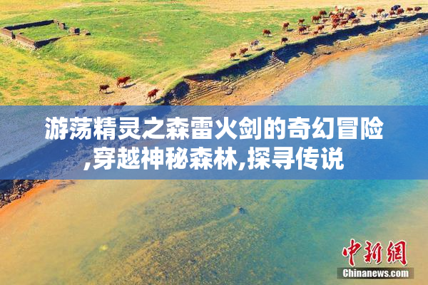 游荡精灵之森雷火剑的奇幻冒险,穿越神秘森林,探寻传说
