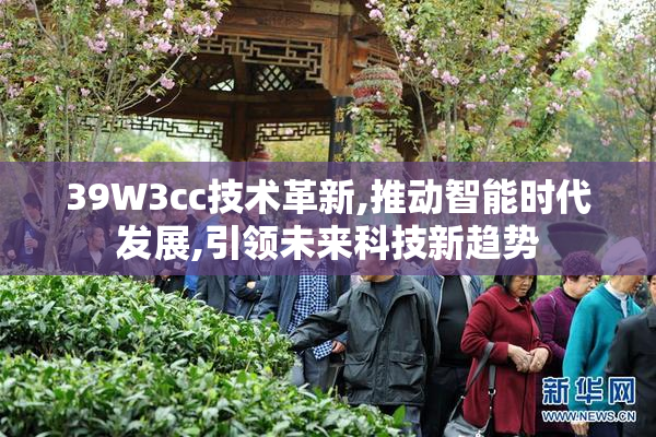 39W3cc技术革新,推动智能时代发展,引领未来科技新趋势